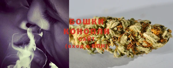МДПВ Бронницы