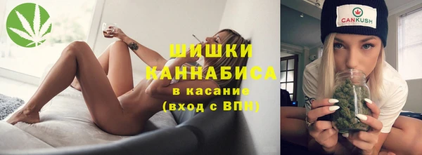 Альфа ПВП Богородск