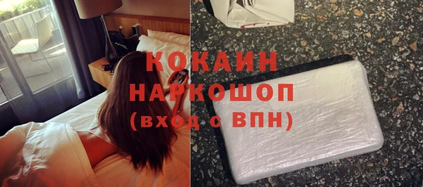 тгк Бородино