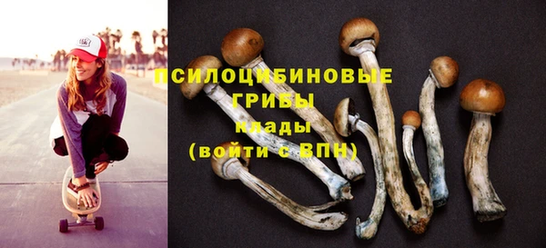 Альфа ПВП Богородск