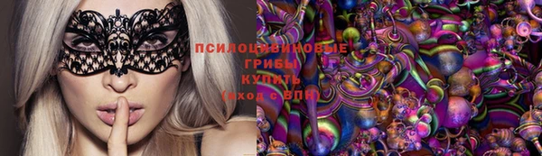 МДПВ Бронницы