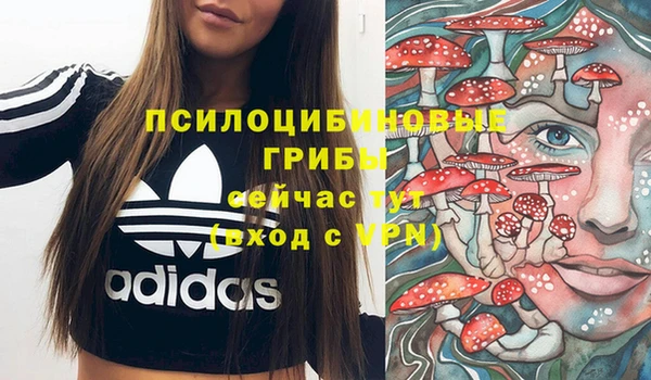 кокс Богданович