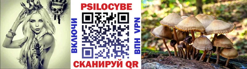Псилоцибиновые грибы Psilocybine cubensis  Купить  Шимановск 